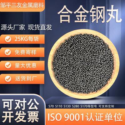 S780合金钢丸2.5MM抛丸机小型铸钢除锈用人造磨料加工铸钢丸喷砂