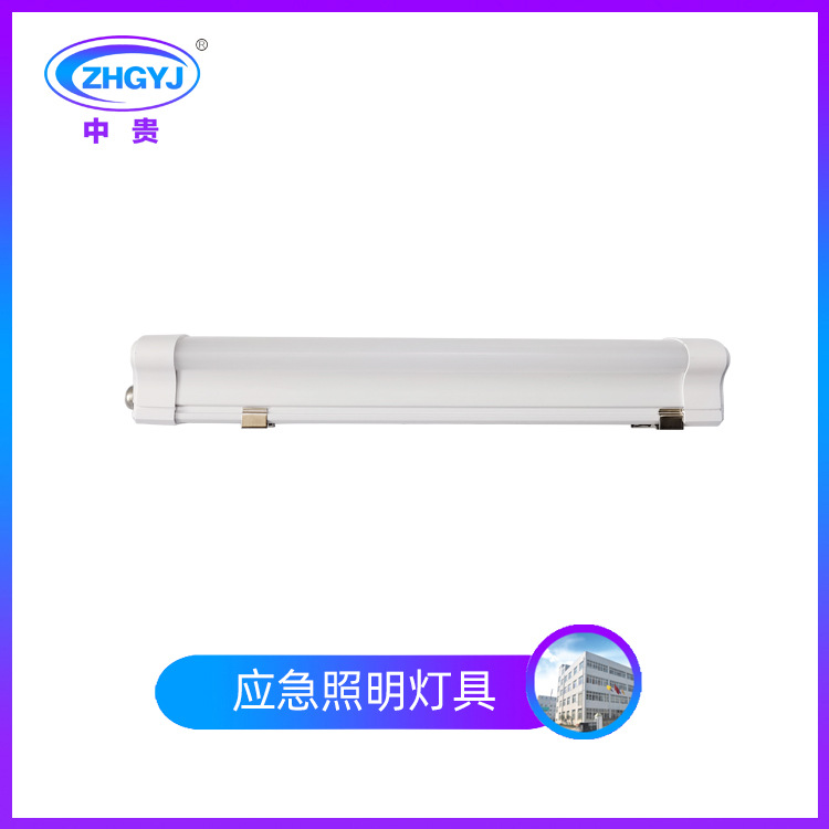 集中控制型消防应急照明灯具 IP67应急照明灯具 三防应急灯定制
