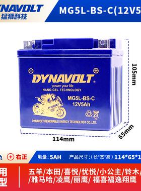 华洋T4T2T6波速尔M5M1卒玛K7K5贵尊极道者战狼越野摩托车电瓶12V