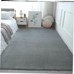 Fluffy Shaggy Carpet 地毯垫 Bedroom Mat for Rugs Area Floor