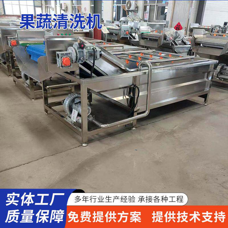 佛手瓜鼓泡清洗设备果蔬气泡清洗机苦菊生菜洗菜机净菜加工设备