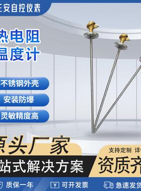 热电偶304不锈钢WRN-130/230WZP-130测温棒K型PT100装配式热电偶
