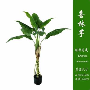 软摆件造景仿真羽饰喜假落地春芋绿芋仙林家居植物装装盆栽植室内