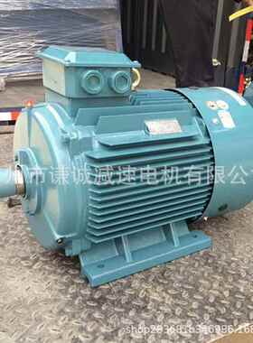 YE3/YE2-225M-6/JS225M-630KW立式/卧式三相交流异步电动机