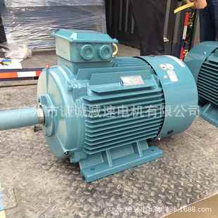 225M JS225M 630KW立式 三相交流异步电动机 YE3 卧式 YE2