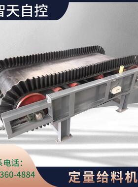 定制皮带秤TDG定量给料机高精度定量输送机称重精密皮带秤