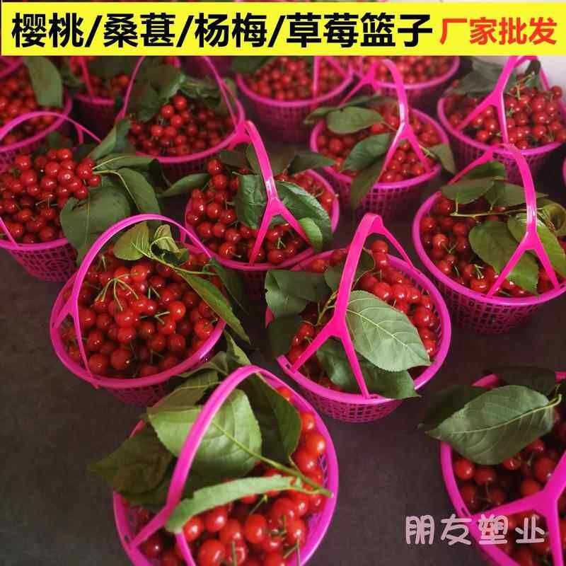 A5L草莓篮子塑料圆篮1-F76J99H66斤装杨梅水果篮摘圆篮子形塑采料