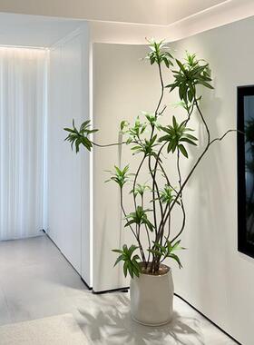 海虹景品百合竹彷真绿色植物室内客厅彷生假树高端轻奢花大型落地