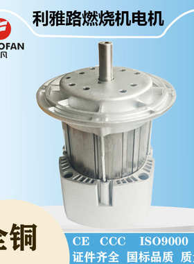 【卓凡电机】利雅路电机燃烧器风机RIELLO专用电机300W350WRS34RS