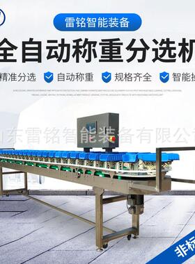 黄花鱼海鲜重量分选机兔头兔腿分级机三文鱼海产品自动称重分拣机
