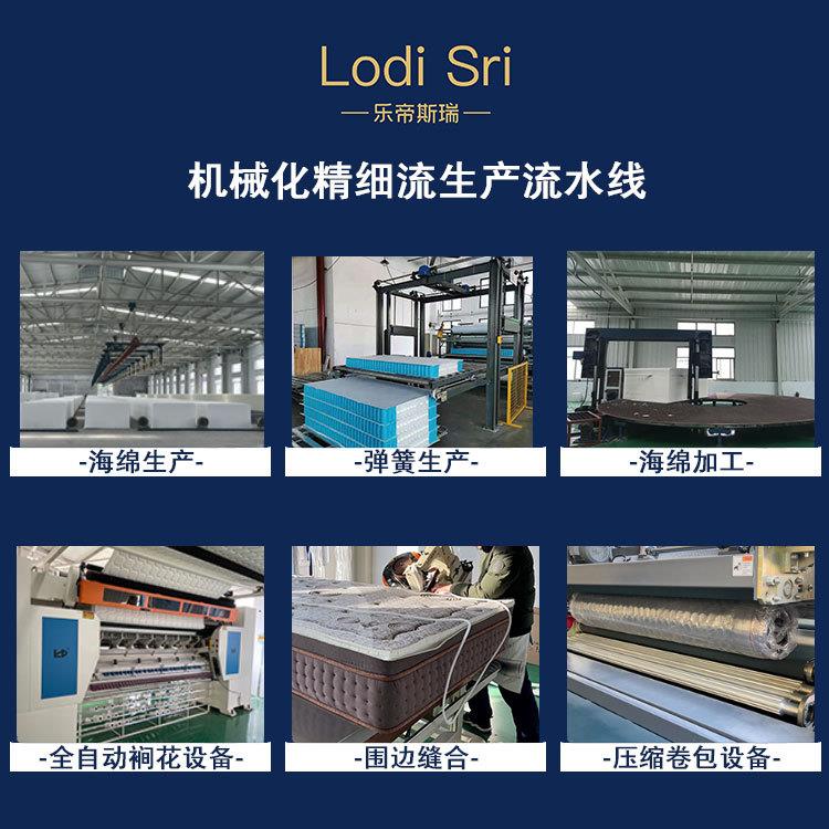 现供货现发棕棕榈酒床垫店民宿家用软硬垫工厂LFN直椰垫薄垫