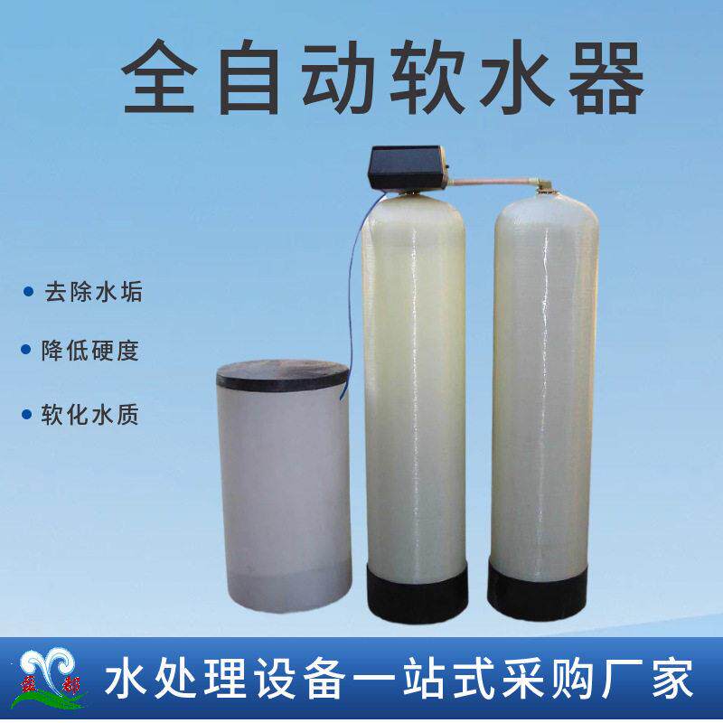 双阀双软水器 井水自来水除水垢杂质软水机 全自动软水器设备