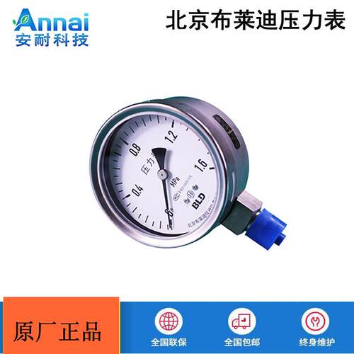 压力表不锈钢耐震压力表YTH-100