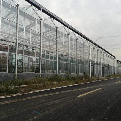 智能玻璃温室大棚 花卉种植育苗阳光温室大棚 生态科研可恒温大棚