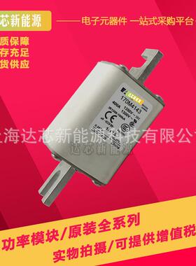 170M4058 170M4059 170M4060 170M4061 170M4062 170M4063熔断器