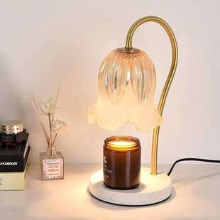 野兽派香薰灯客厅无火香薰复古法式欧式简约台灯家用卧室铃兰花灯