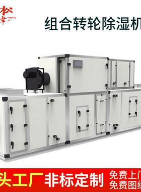 低凝水低温仓库变频组合转轮除湿机风冷水冷热泵联合恒温恒湿机
