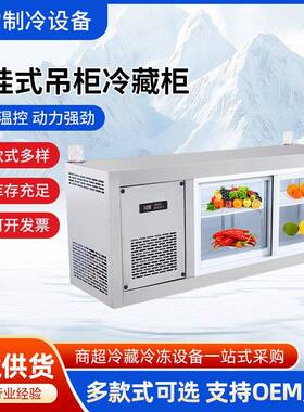 趟门壁挂式冷藏冷冻保鲜展示柜挂墙柜商用厨房吊柜推拉门台式冰箱