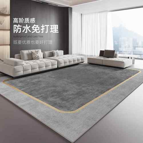 地毯客厅2025新款轻奢感房间卧室免洗可擦家用沙发茶几地垫大
