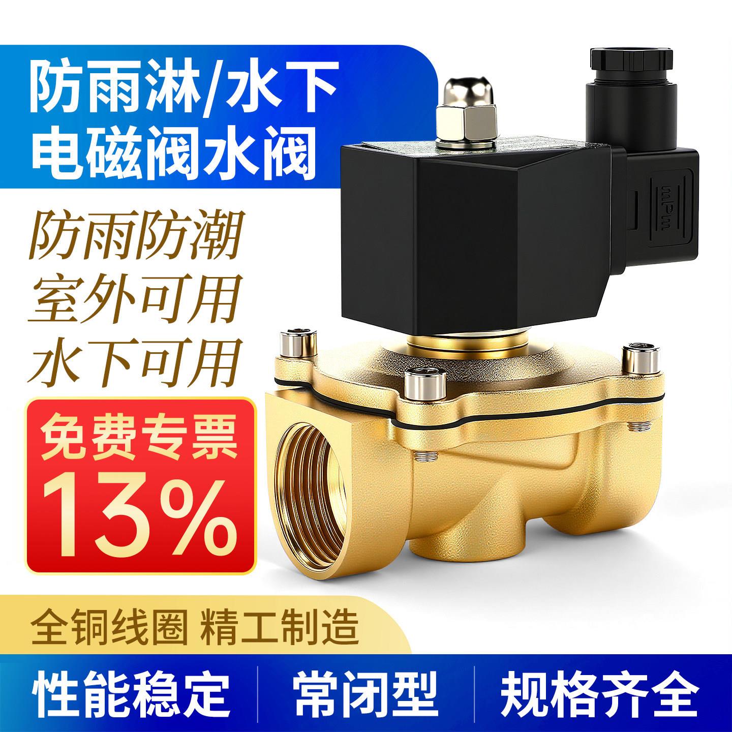 防水室外电磁阀水阀AC220V常闭进放水管控制阀开关4分6分24V水下