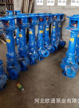 现货销售液下污水泵37KW液下泵可制作加长单管双管液下泵