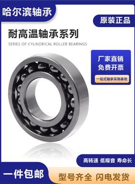 哈尔滨耐高温轴承970218 970220 满珠970222窑炉970224 970226