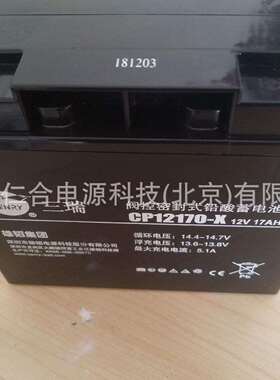 三瑞蓄电池CP12170-X铅酸蓄电池 12V17AH免维护蓄电池