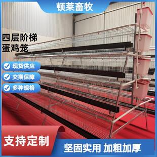 可供外贸 阶梯蛋鸡笼四层四门A型蛋鸡笼养鸡场热镀锌养殖笼层叠式