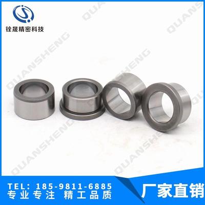 德标GANTER DIN172导向衬套 din179精密钻套 定位轴套 合金导套
