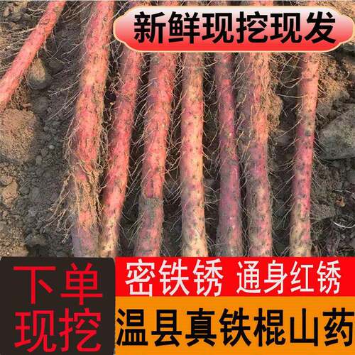 新疆包邮铁棍山药新鲜温县河南焦作特产铁杆棒麻紫红皮怀淮山约