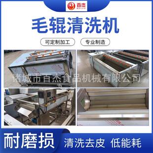 喷淋式 毛辊清洗机贝壳类毛刷清洗除杂设备大姜土豆毛刷清洗去皮机