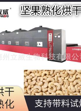 工业微波坚果熟化机 腰果开心果榛子烘烤脱酶设备 连续式坚果烘焙