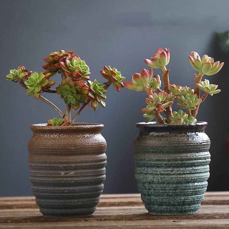 复古创意多肉花盆陶瓷花盆法师老桩养肉肉专用的植物粗陶陶罐透气