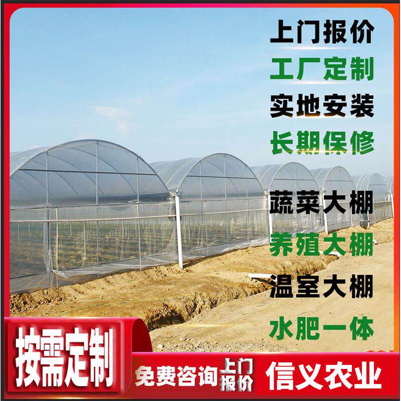 信义新款农业骨架制作固定蔬菜温室种植养殖防风简易钢管配件大棚