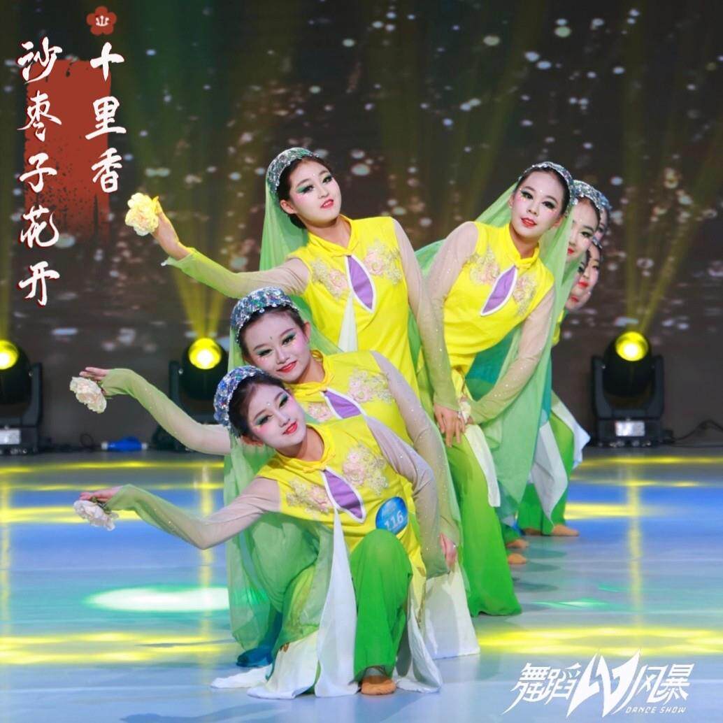 沙枣子花开十里香回族民族舞演出服女童古典舞少数民族表演服儿童