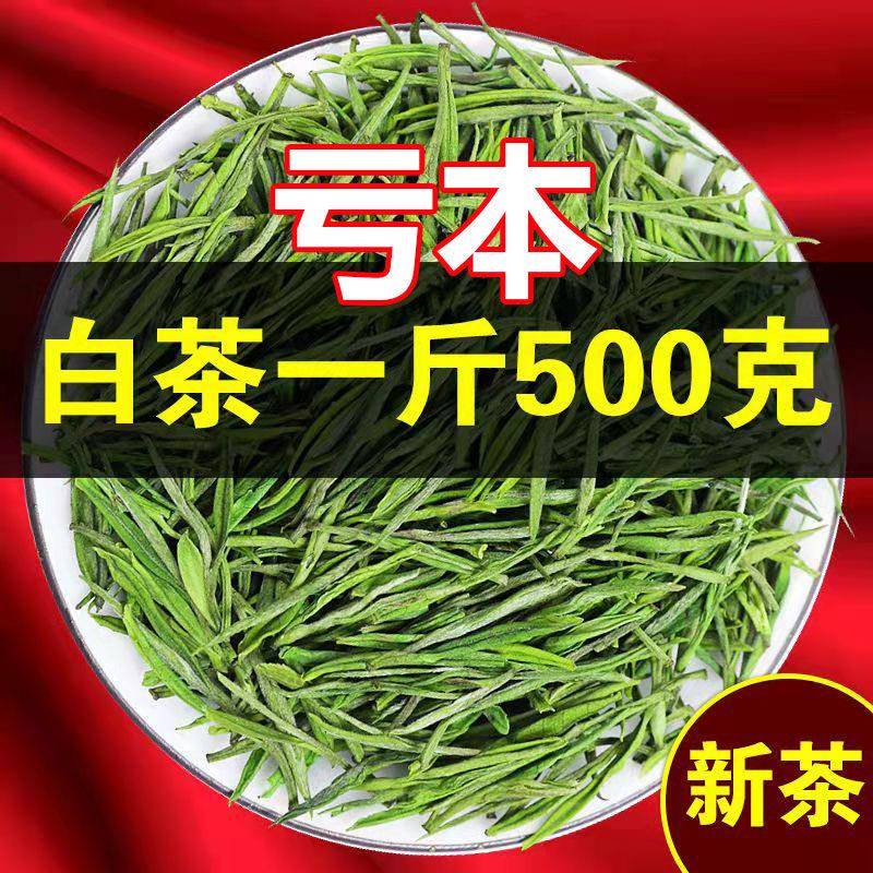 大量亏本试喝 2025新茶叶正宗产区雨前珍稀白茶500g散装高山绿茶