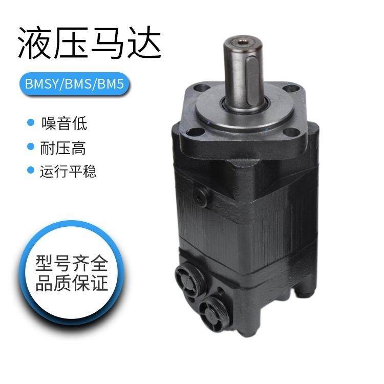 液压马达BMS/BM5低速大扭矩BMSY 80 100 125 160 200 250 315 400,标准件/零部件/工业耗材,液压马达/油马达,淘宝优惠券,粉丝福利购,淘宝优惠卷