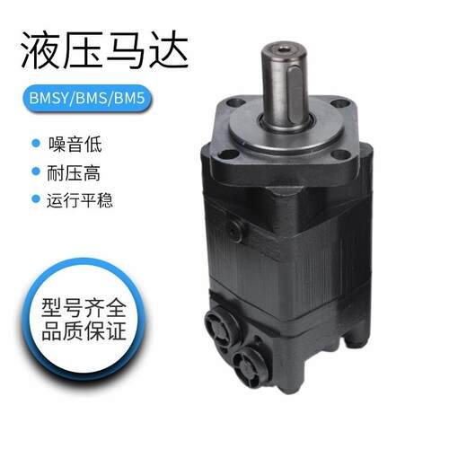 液压马达BMS/BM5低速大扭矩BMSY 80 100 125 160 200 250 315 400