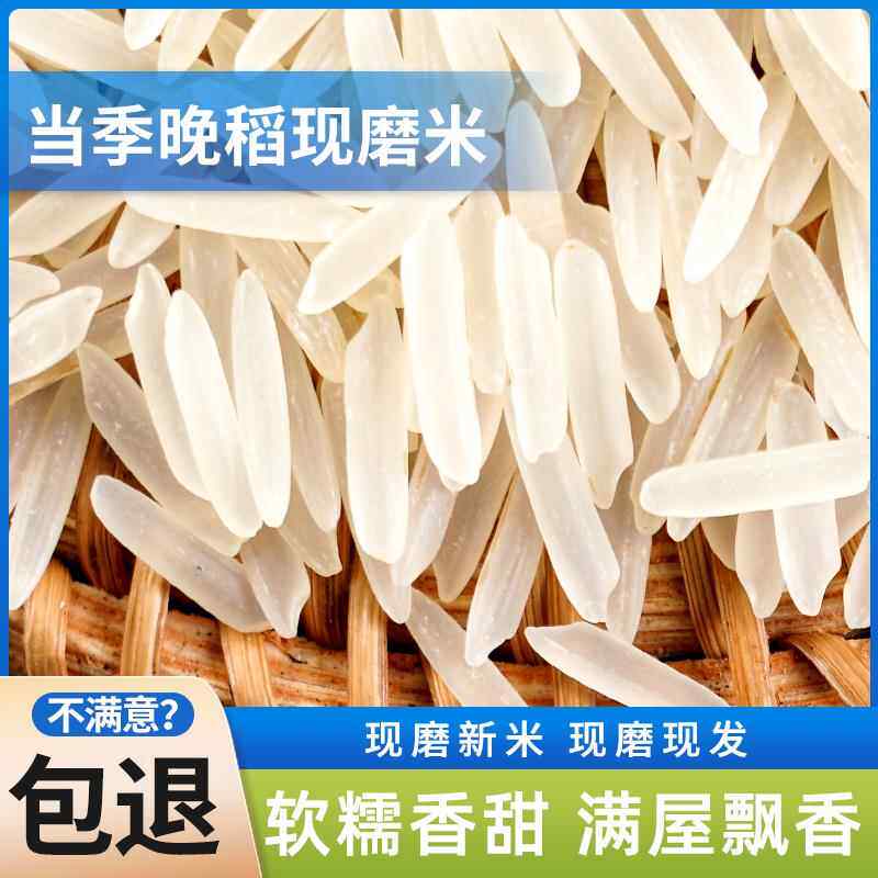 特级猫牙米10斤泰国香米形状长粒香大米丝苗米煲仔饭米官方旗舰店