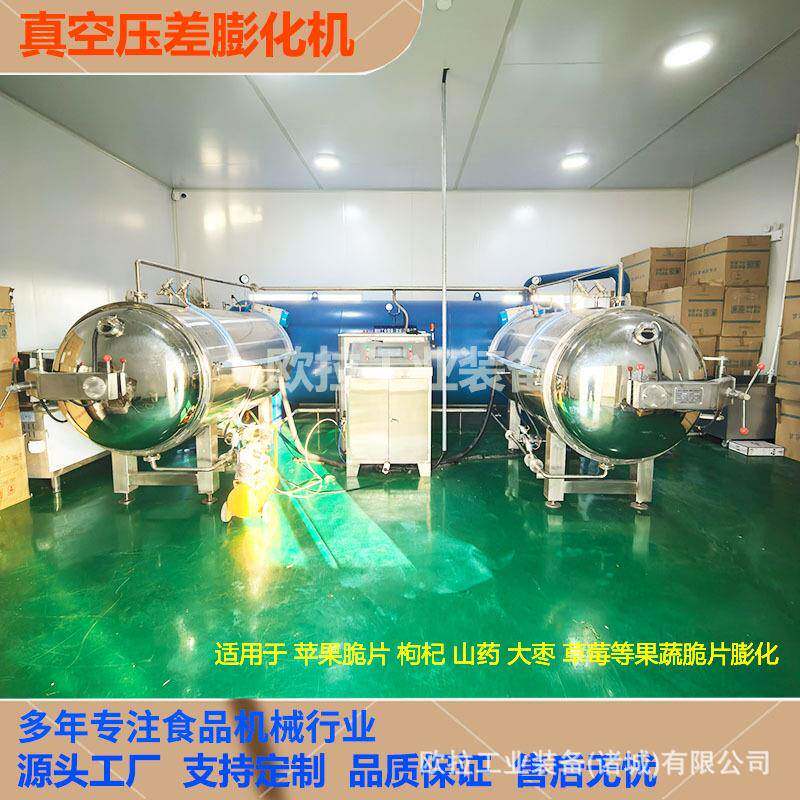 柿子脆真空膨化设备无花果片压差膨化机大型苹果脆葡萄干膨化机