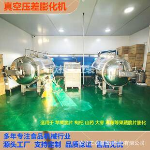 柿子脆真空膨化设备无花果片压差膨化机大型苹果脆葡萄干膨化机
