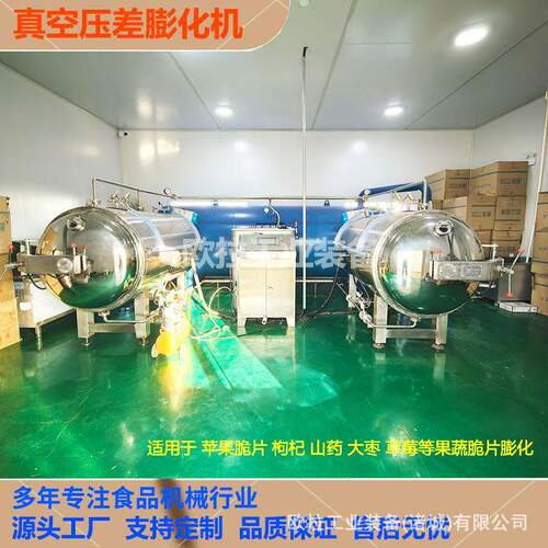 柿子脆真空膨化设备无花果片压差膨化机大型苹果脆葡萄干膨化机