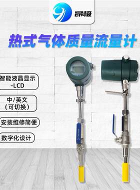 热式气体质量流量计转换器PT20/PT300PT20/PT1000传感器220V/24V