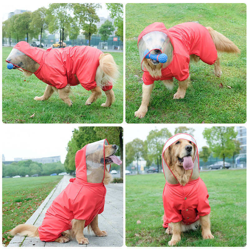 InnoPet大狗雨衣四脚防水四季雨衣遛狗