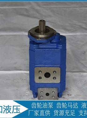 P124B182XDZA15-54PBZA02-1 煤矿用 泊姆克双联齿轮油泵供应