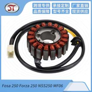 Fosa Forza NSS250 MF06摩托点火磁电机定子线圈 250
