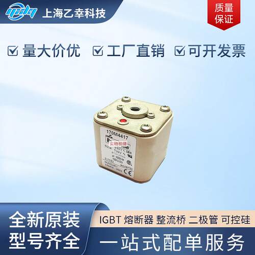 巴斯曼熔断器 170M4540 170M4558 170M4559 170M4560 170M4561
