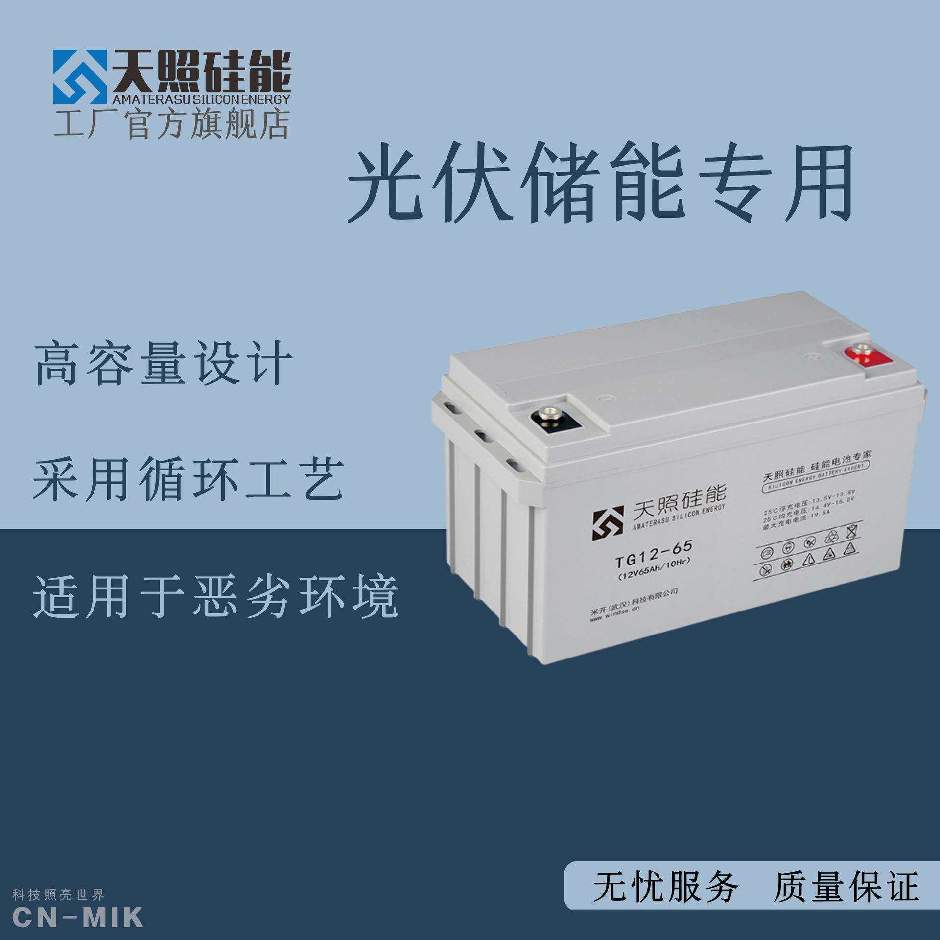 天照硅能蓄电池12V65Ah电瓶家用UPS太阳能发电系统12伏蓄电池