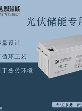天照硅能蓄电池12V65Ah电瓶家用UPS太阳能发电系统12伏蓄电池