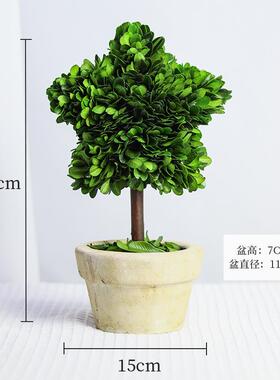 正品办公室工植位面绿上班情绪稳定客神器厅桌旺宅植物小摆件家居